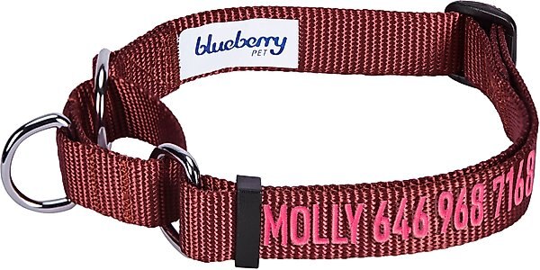 Blueberry Pet Safety Training Personalized Martingale Dog Collar, Fired Brick, Medium: 14.5 to 20-in neck 3/4-in wide slide 1 of 5