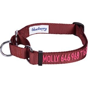 Blueberry Pet Safety Training Personalized Martingale Dog Collar, Fired Brick, Medium: 14.5 to 20-in neck 3/4-in wide