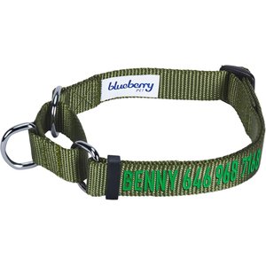 Blueberry Pet Safety Training Personalized Martingale Dog Collar, Military Green, Small: 12 to 16-in neck, 5/8-in wide