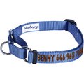 Blueberry Pet Safety Training Personalized Martingale Dog Collar, Marina Blue, Medium: 14.5 to 20-in neck 3/4-in wide