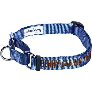 Blueberry Pet Safety Training Personalized Martingale Dog Collar, Marina Blue, Medium: 14.5 to 20-in neck 3/4-in wide