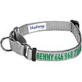 Blueberry Pet Safety Training Personalized Martingale Dog Collar, Flint Gray, Large: 18 to 26-in neck, 1-in wide