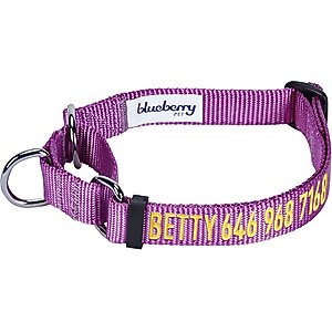 Blueberry Pet Safety Training Personalized Martingale Dog Collar, Violet, Medium: 14.5 to 20-in neck 3/4-in wide