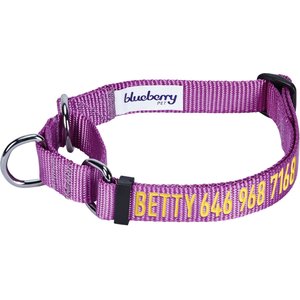 Blueberry Pet Safety Training Personalized Martingale Dog Collar, Violet, Large: 18 to 26-in neck, 1-in wide