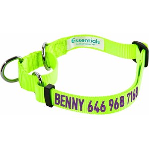 Blueberry Pet Essentials Safety Training Personalized Martingale Dog Collar, Neon Yellow, Small: 12 to 16-in neck, 5/8-in wide