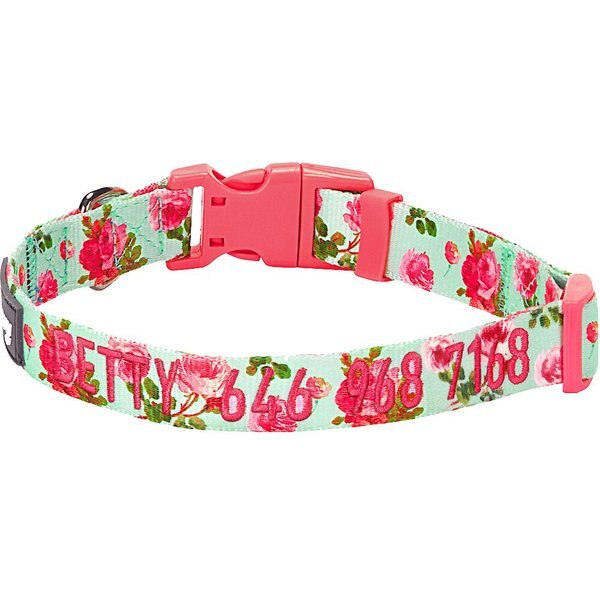 BLUEBERRY PET Spring Scent Rose Floral Personalized ID Dog Collar, Turquoise, Large 18 to 26in