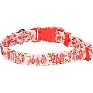 Blueberry Pet Spring Scent Rose Floral Personalized ID Dog Collar, Rose Baby Pink, Medium: 14.5 to 20-in neck 3/4-in wide