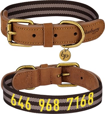 chewy leather dog collars