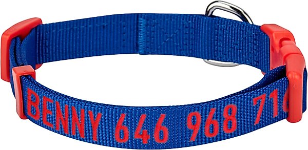 Blueberry Pet National Pride USA Flag Personalized Dog Collar, Blue, Large: 18 to 26-in neck, 1-in wide slide 1 of 6