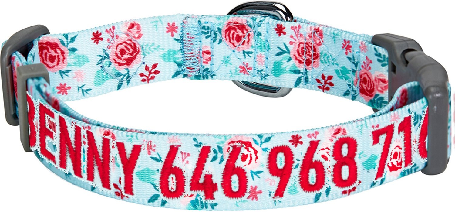 BLUEBERRY PET Essentials Garden Floral Personalized Dog Collar, Pastel