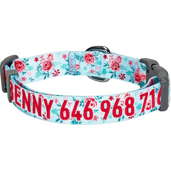 BLUEBERRY PET Essentials Garden Floral Personalized Dog Collar, Pastel Blue, Medium 14.5 to 20