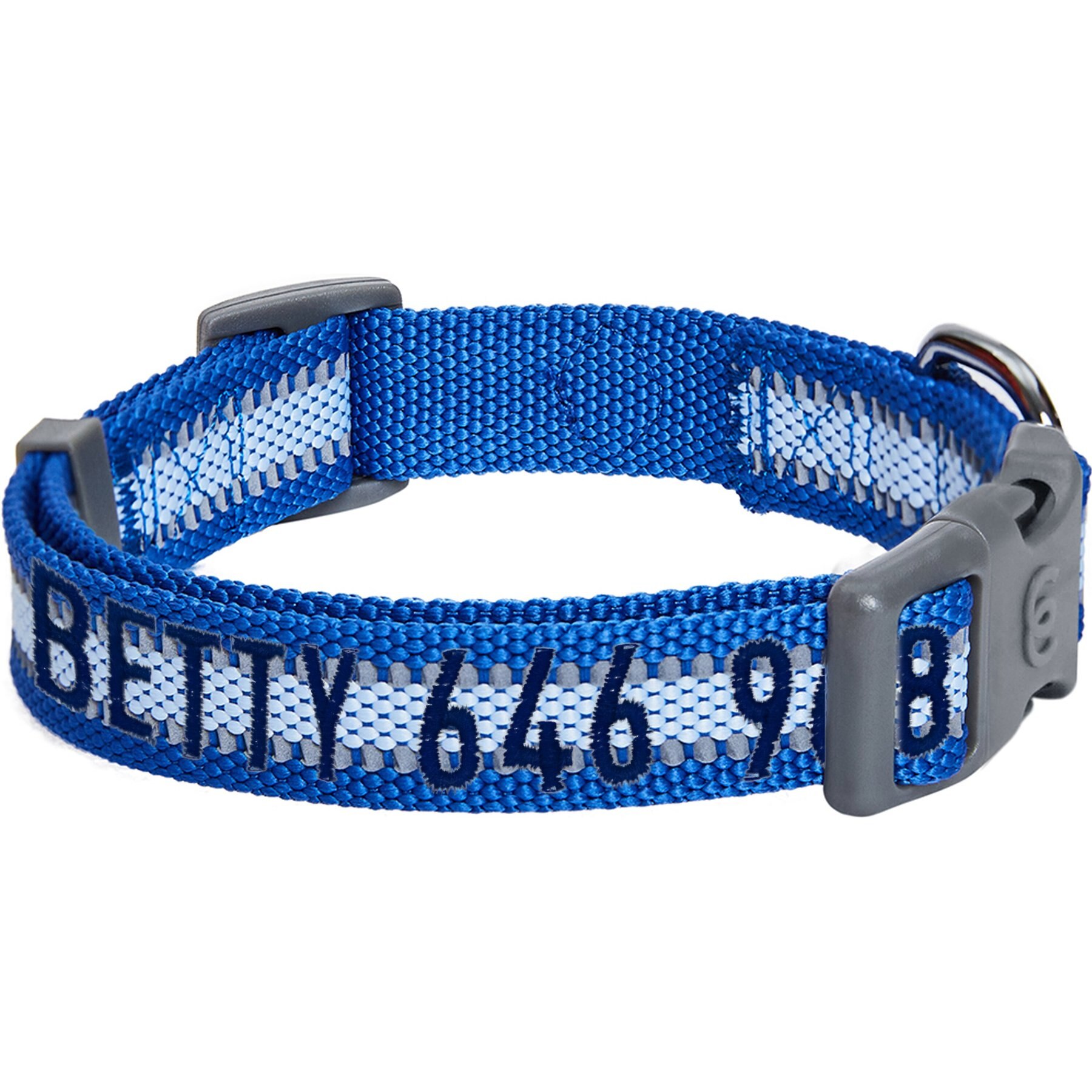 Blueberry Pet Back to Basics Personalized Reflective Dog Collar