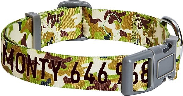 Blueberry Pet Camouflage Personalized Dog Collar, Green, Small: 12 to 16-in neck, 5/8-in wide slide 1 of 7