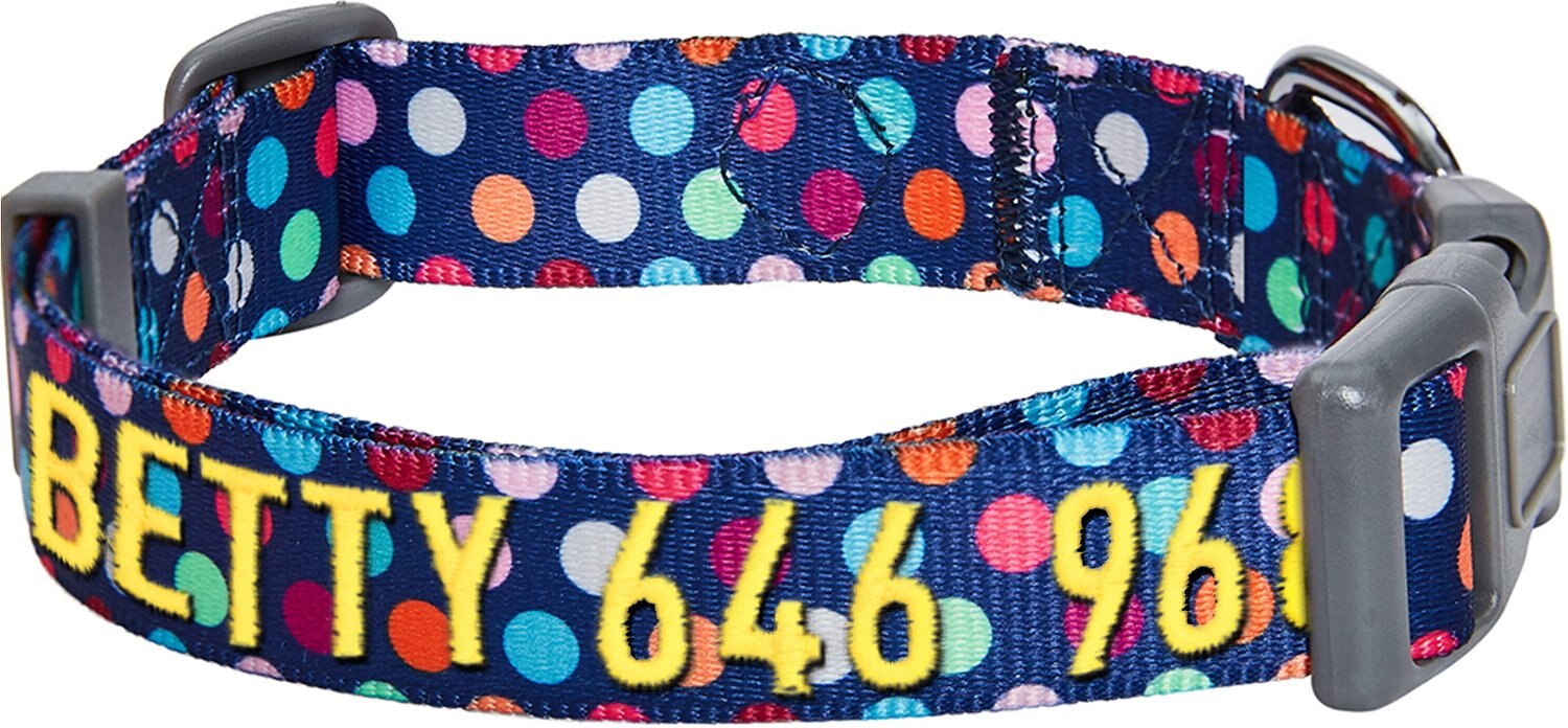 Blueberry Pet Bold Polka Dots Bandana Dog Collar