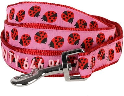 Blueberry Pet Webbing Ladybug Designer Personalized Standard Dog Leash, slide 1 of 1