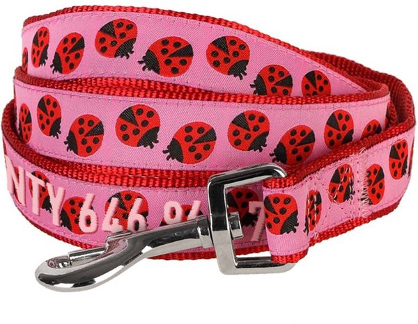 Blueberry Pet Webbing Ladybug Designer Personalized Standard Dog Leash, Large: 4-ft long, 1-in wide slide 1 of 5