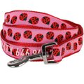 Blueberry Pet Webbing Ladybug Designer Personalized Standard Dog Leash, Large: 4-ft long, 1-in wide