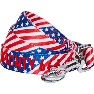 Blueberry Pet American Flag Personalized Standard Dog Leash, Small: 5-ft long, 5/8-in wide