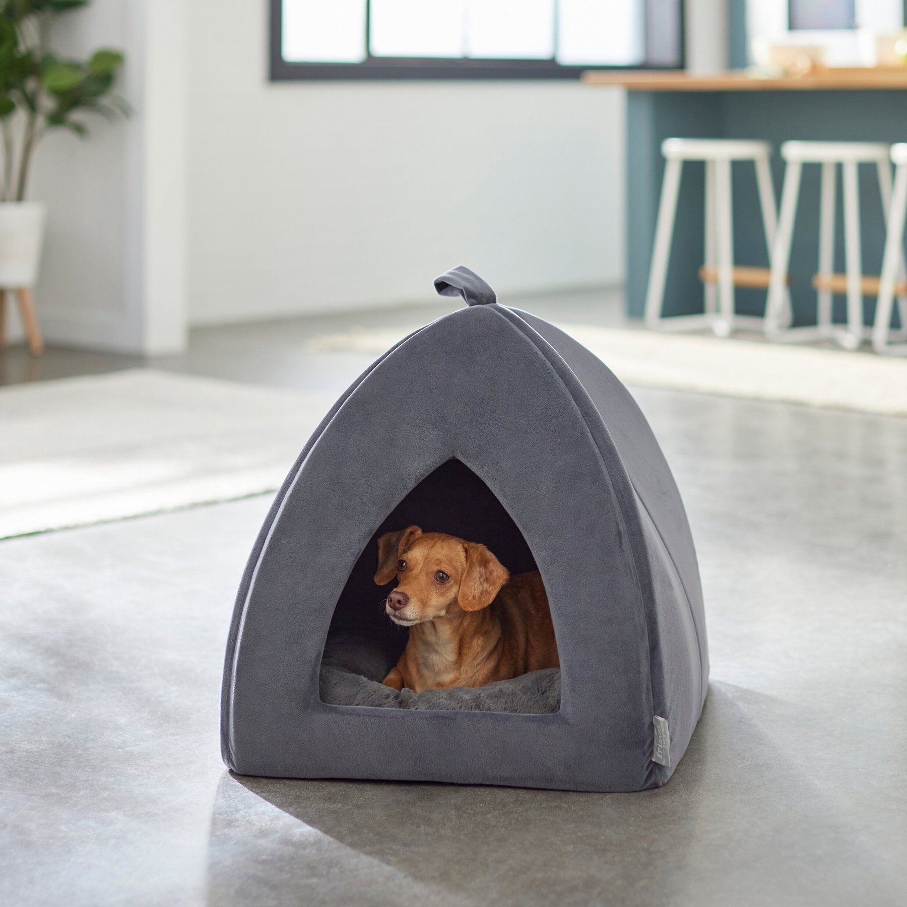 Frisco dog clearance & cat igloo bed cave