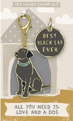 Primitives By Kathy Lab Black Charm, 2 count