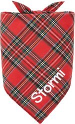 Frisco Tartan Plaid Embroidered Personalized Dog & Cat Bandana, Medium