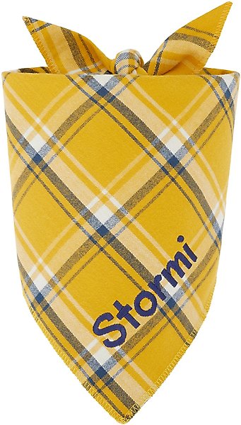 Frisco Fall Yellow Embroidered Personalized Dog & Cat Bandana, Large slide 1 of 6