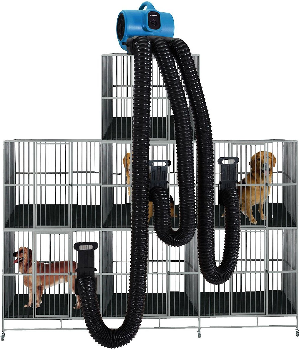 Dog store grooming dryer