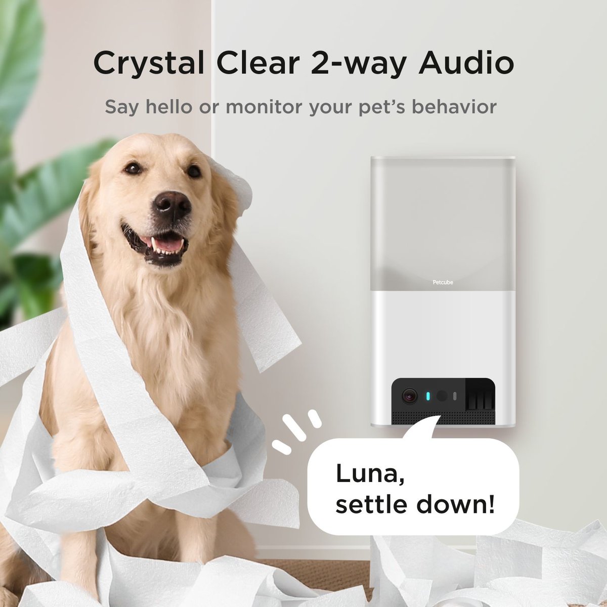 Wifi pet camera and treat outlet dispenser