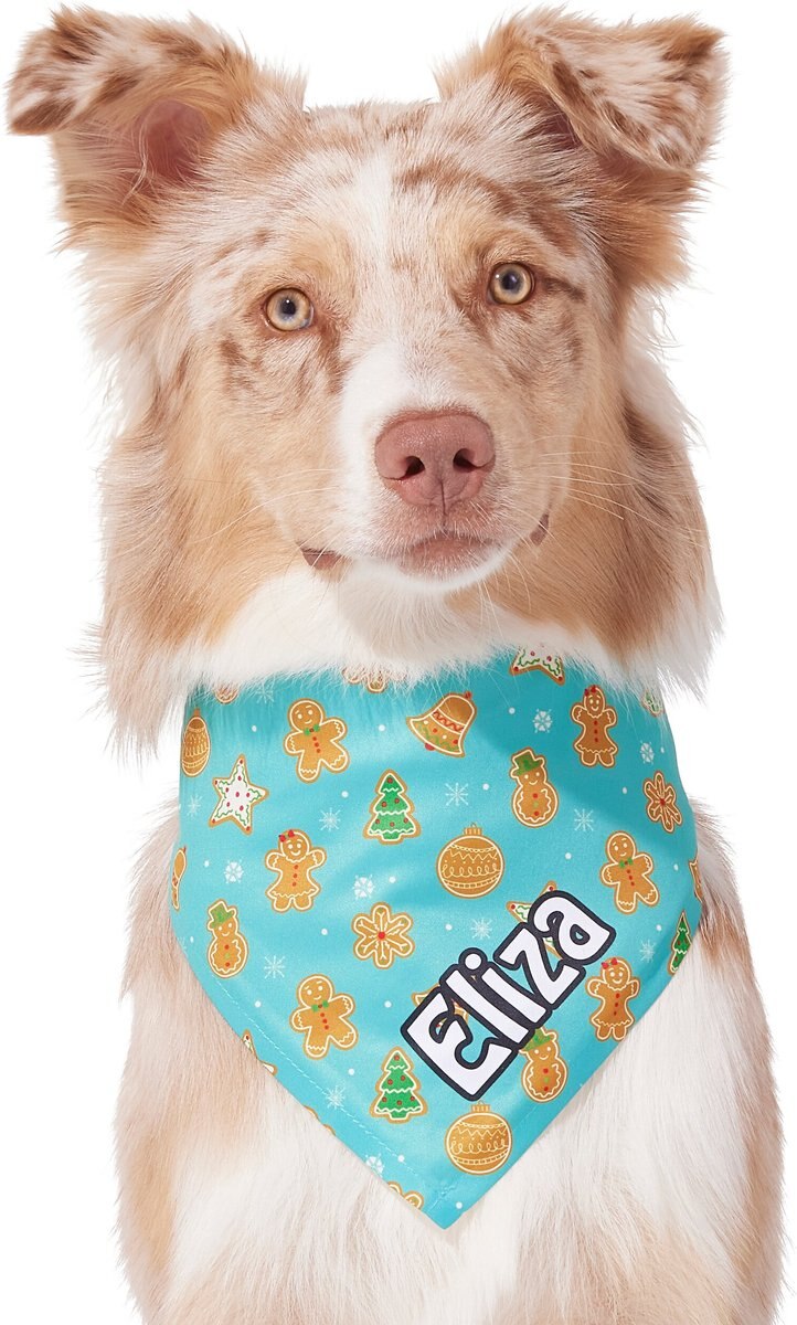 Frisco Gingerbread Cheer Dog Collar