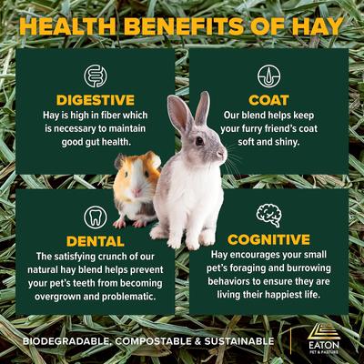 Show full view: Eaton Pet & Pasture Premium First Cut Blend Timothy Hay Small Animal Food, 6-lb box slide 5 of 10