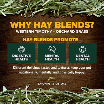 Show full view: Eaton Pet & Pasture Premium First Cut Blend Timothy Hay Small Animal Food, 6-lb box slide 8 of 10