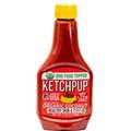 Fast Pet Food KetchPup Organic Beef Flavored Sauce Dog Wet Food Topper, 12.35-oz bottle