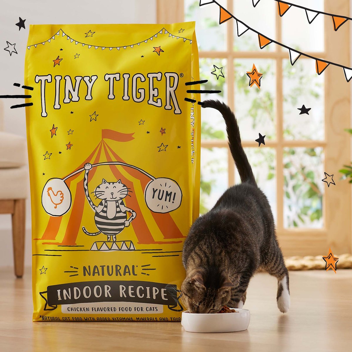 Tiny tiger shop cat food recall