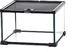REPTI ZOO Mini Glass Reptile Terrarium Tank, 12 x 12 x 8