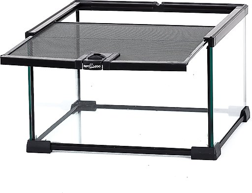 REPTI ZOO Mini Glass Reptile Terrarium Tank, 12 x 12 x 8