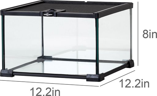 REPTI ZOO Mini Glass Reptile Terrarium Tank, 12 x 12 x 8