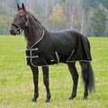 Finntack Cuddle Fleece Horse Blanket, Black, 72-in