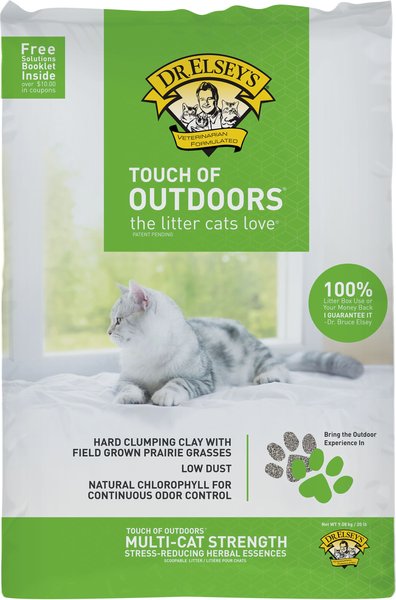 Dr. Elsey's Precious Cat Touch of Outdoors Unscented Clumping Clay & Natural Prairie Grasses Cat Litter, 20-lb bag slide 1 of 6