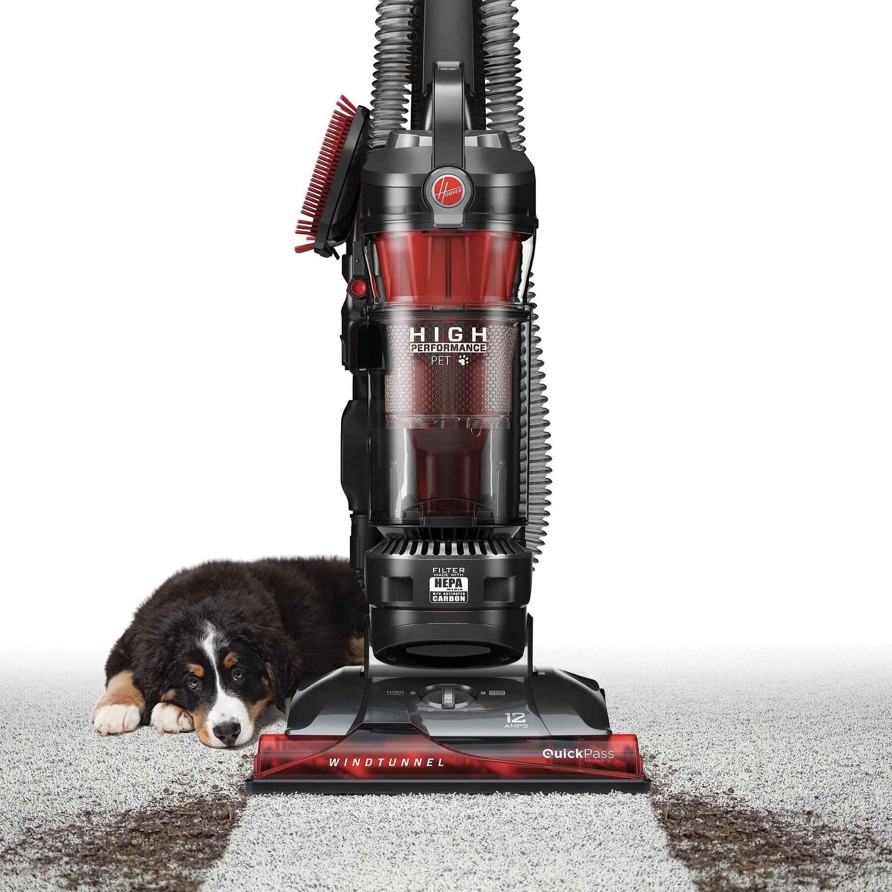 Pet Upright Vacuum Cleaner 