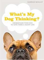 What's My Dog Thinking?