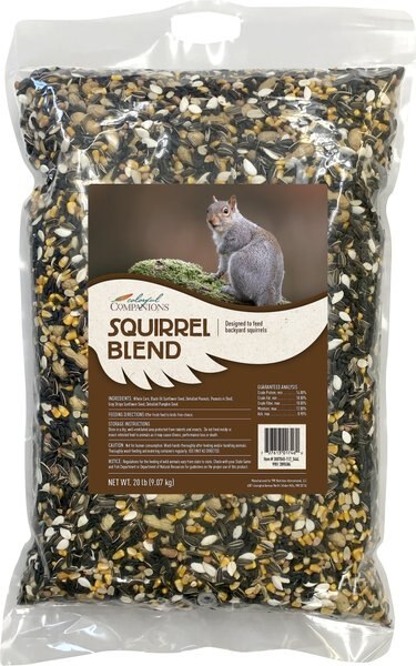 Colorful Companions Squirrel Blend Backyard Wildlife & Wild Bird Food, 20-lb bag slide 1 of 4