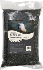 Colorful Companions Black Oil Sunflower Premium Wild Bird Food, 20-lb bag