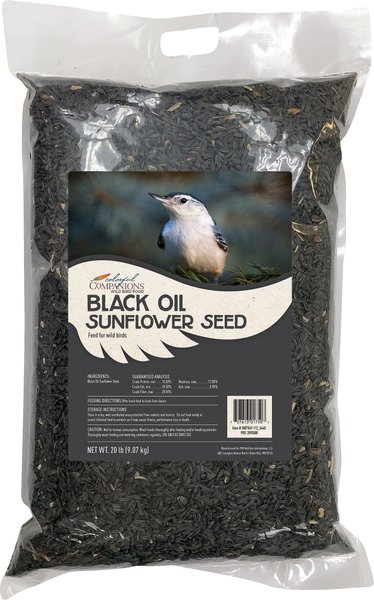 Colorful Companions Black Oil Sunflower Premium Wild Bird Food, 20-lb bag slide 1 of 4