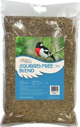 Colorful Companions Squirrel-Free Blend Premium Wild Bird Food, 20-lb bag