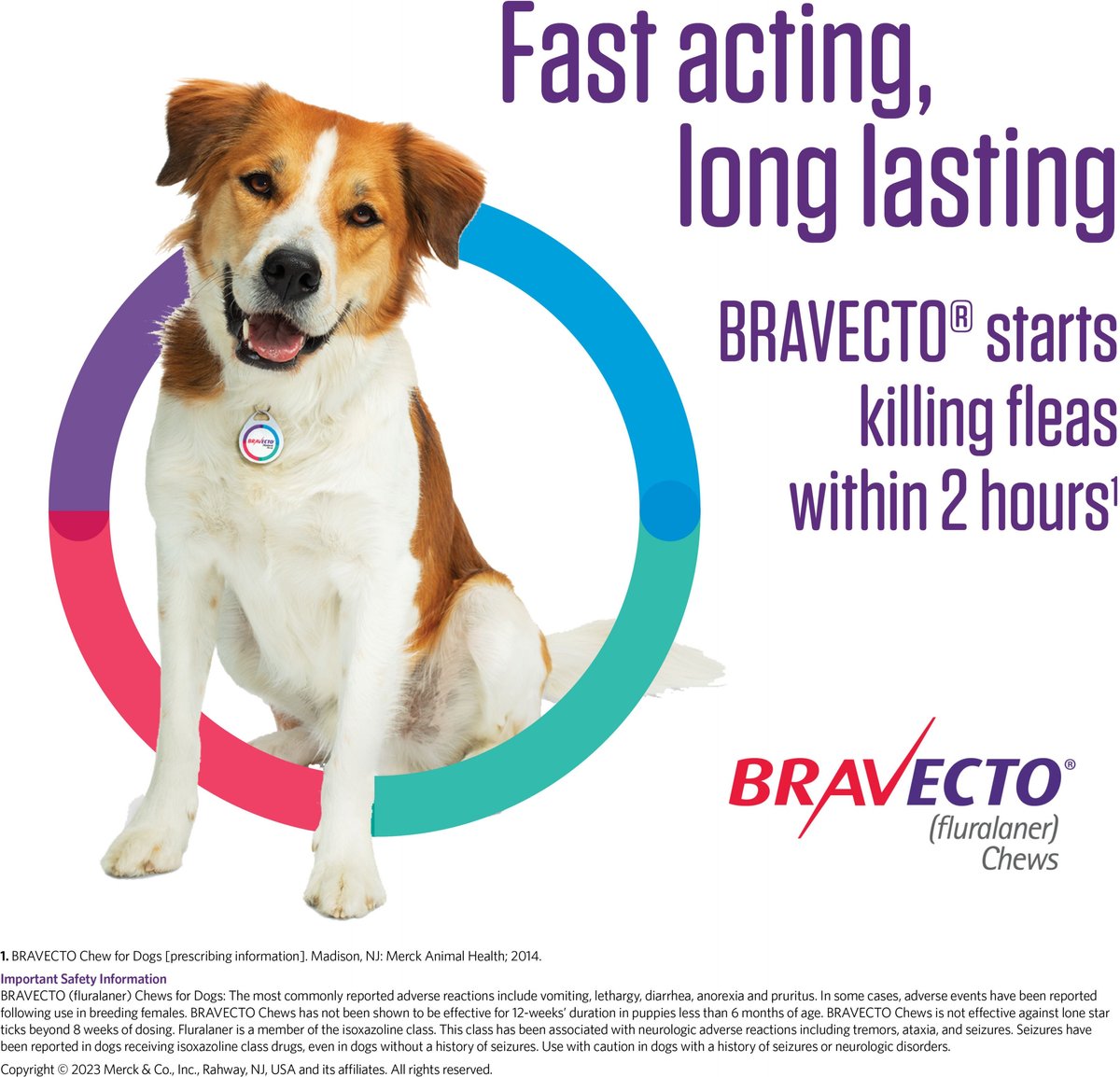 BRAVECTO Chew for Dogs, 44-88 lbs, (Blue Box), 2 Chews (24-wks. supply) 