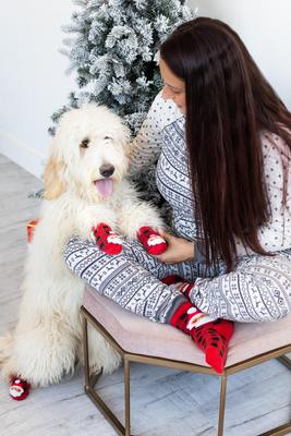 Show full view: Pearhead Human & Dog Santa Sock Set slide 2 of 5