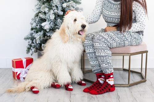 Show full view: Pearhead Human & Dog Santa Sock Set slide 3 of 5