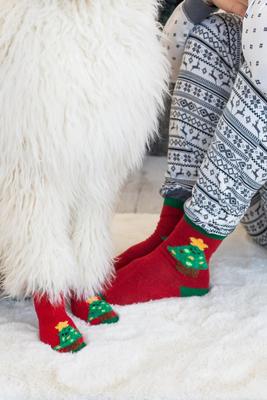 Show full view: Pearhead Human & Dog Tree Sock Set slide 3 of 7