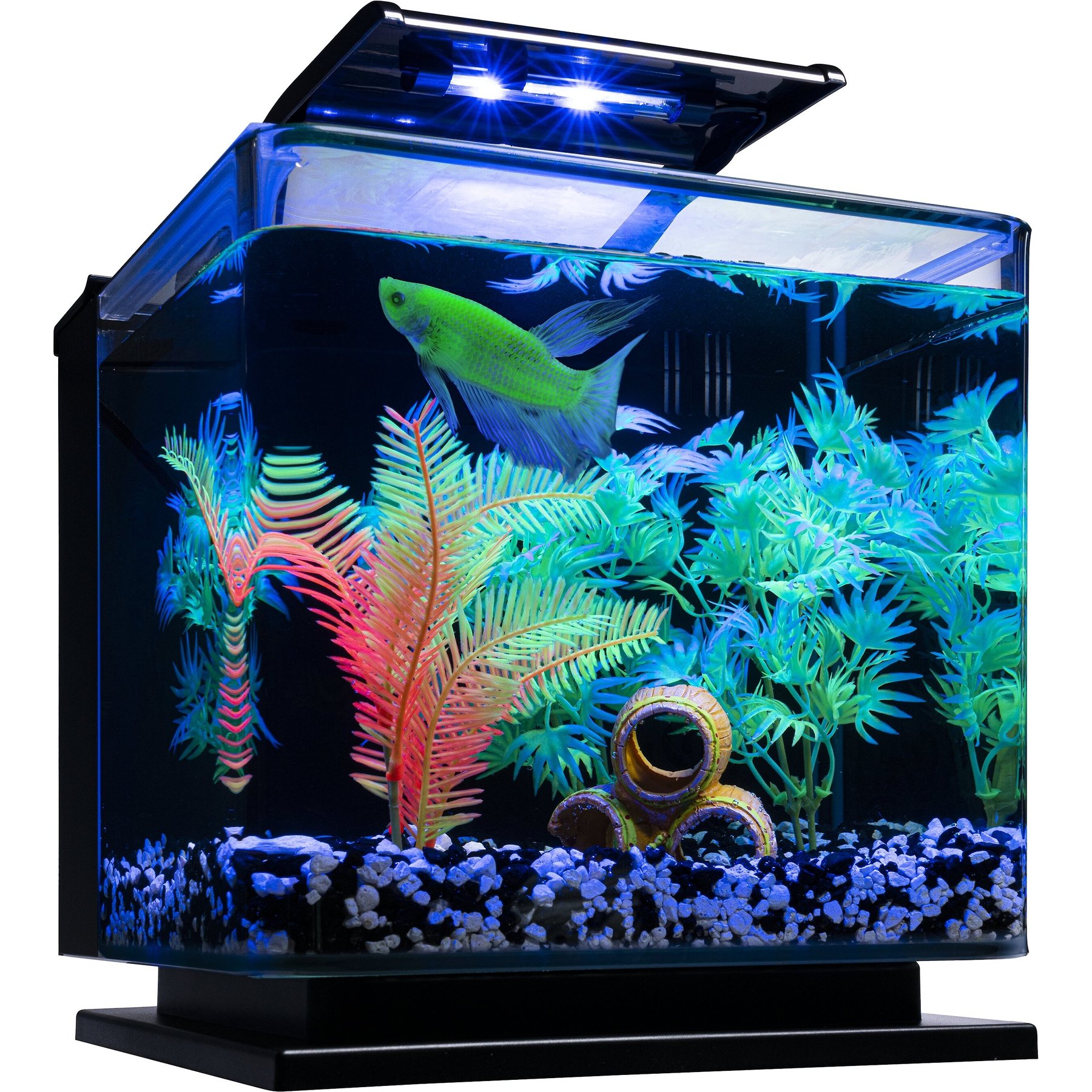 GloFish Betta Glass Aquarium Kit - 3 Gal