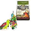 Higgins Safflower Gold Natural Mix Conure & Cockatiel Food + Sungrow Parrot Chew Toy, Foraging Blocks, Rainbow Wood